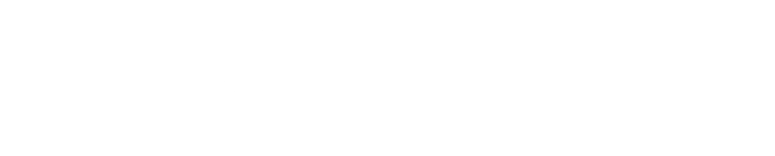 SKY AI Analytics logo